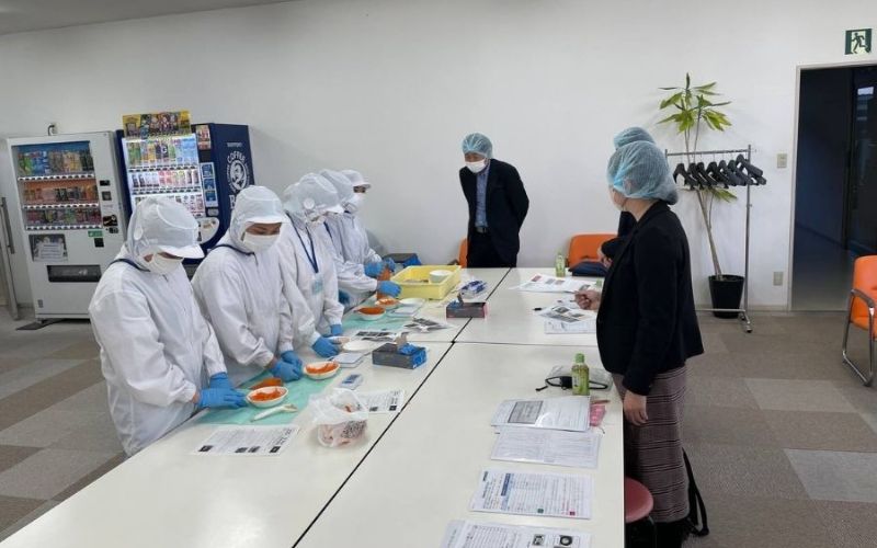 Cập nhật quy định mới nhất về độ tuổi đi Nhật